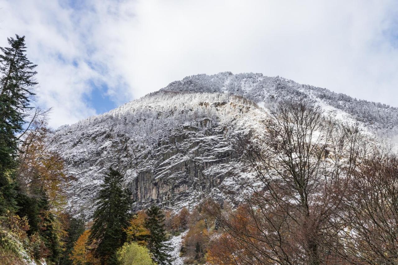 Appartamento Le Foch - Centre - Parking Lourdes Esterno foto